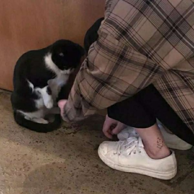 累计交付破50万 小米汽车多款新车待发