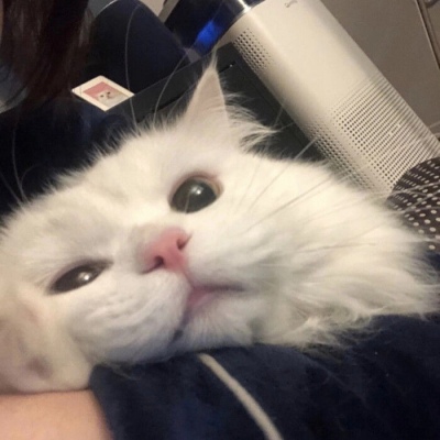 大年三十必吃的10道菜！寓意拉满还下饭